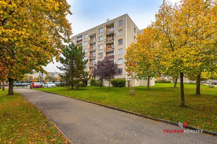 Prodej bytu 3+1, Hradec Králové - Nový Hradec Králové, Milady Horákové, 70 m2