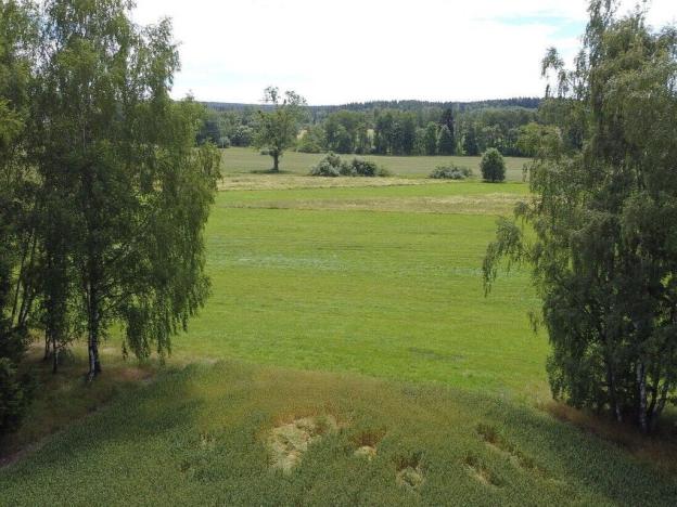 Prodej pole, Sobíňov, 7578 m2