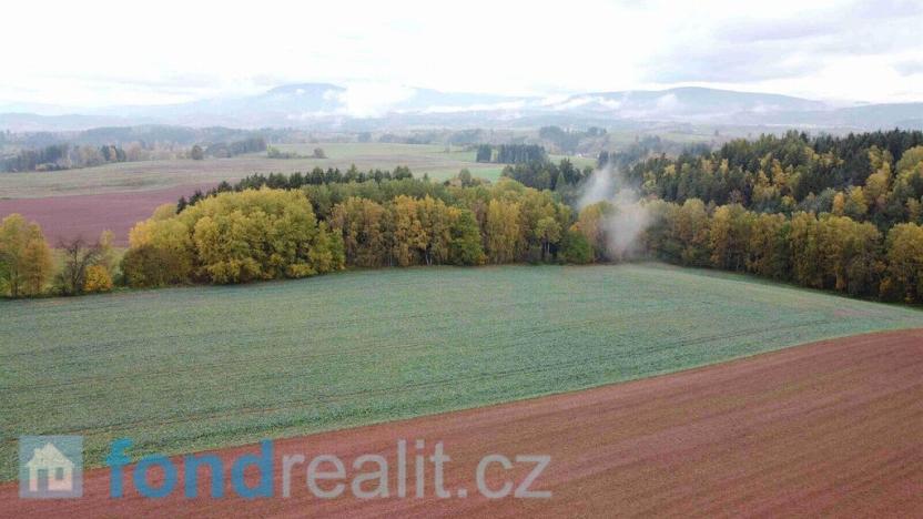 Prodej pole, Staré Buky, 71140 m2