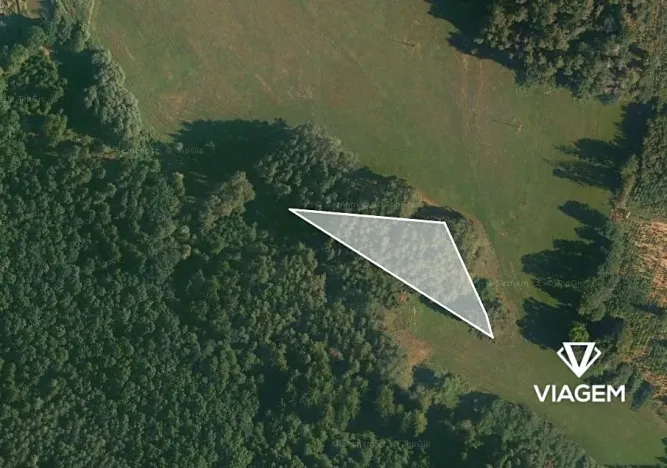 Prodej podílu lesa, Skopytce, 758 m2