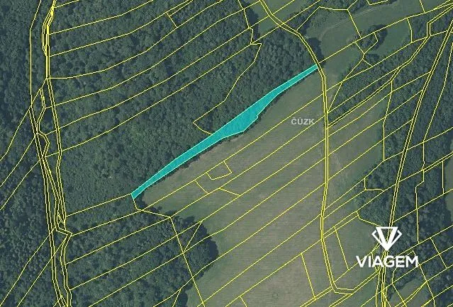 Prodej podílu lesa, Fulnek, 7911 m2