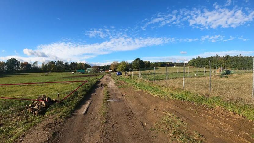 Prodej zahrady, Boršov nad Vltavou, K Pilotovi, 460 m2