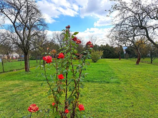 Prodej rodinného domu, Tečovice, 200 m2