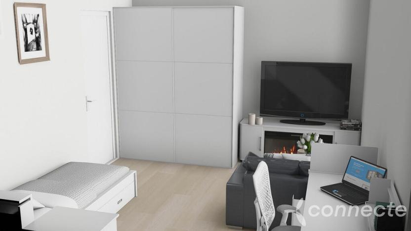 Prodej bytu 1+1, Přerov - Přerov I-Město, Husova, 28 m2