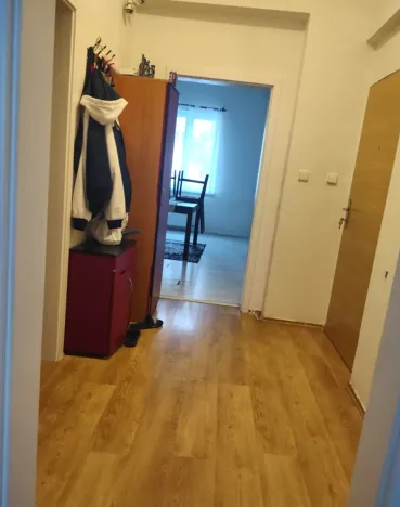 Prodej bytu 1+1, Plzeň, Tělocvičná, 47 m2