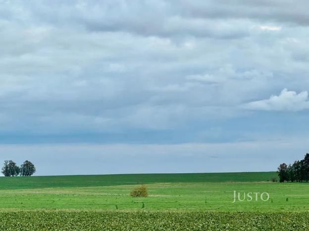 Prodej pole, Černuc, 7167 m2