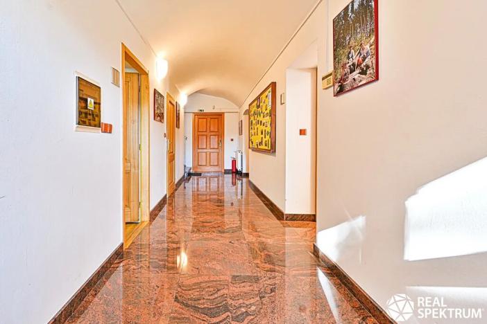 Prodej obchodního prostoru, Cetkovice, Velká Strana, 420 m2