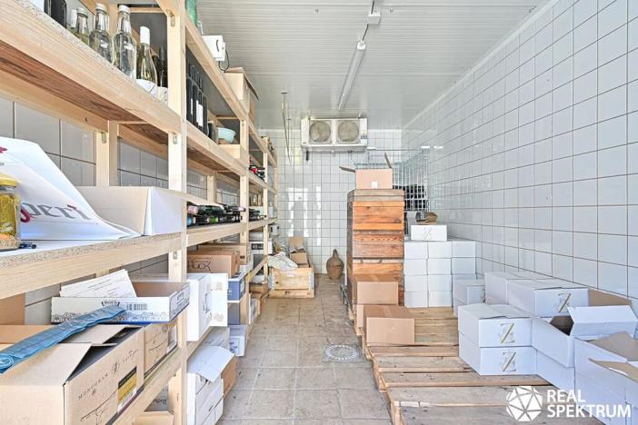 Prodej obchodního prostoru, Cetkovice, Velká Strana, 420 m2