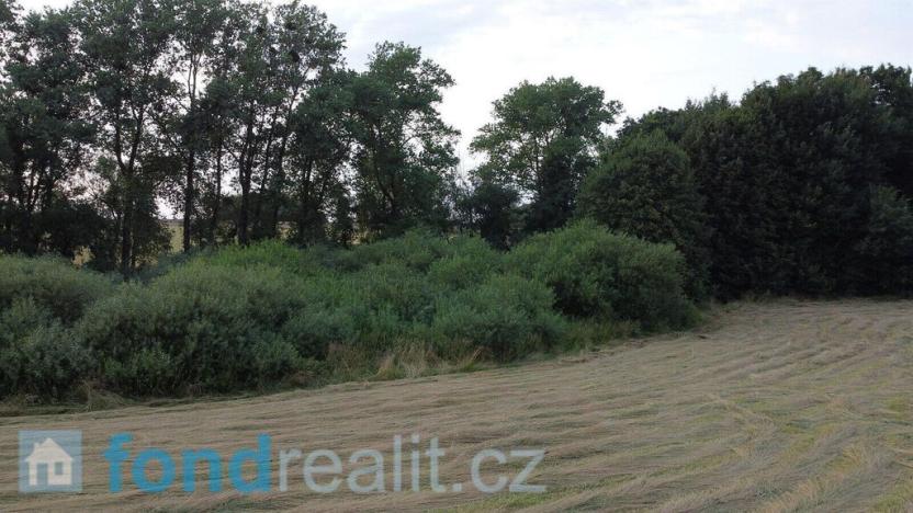 Prodej pozemku, Suchdol nad Odrou, 2930 m2