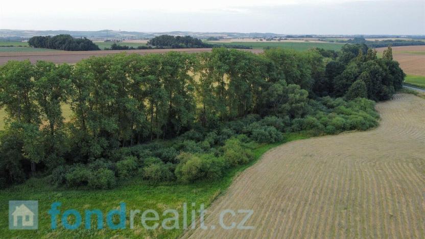 Prodej pozemku, Suchdol nad Odrou, 2930 m2