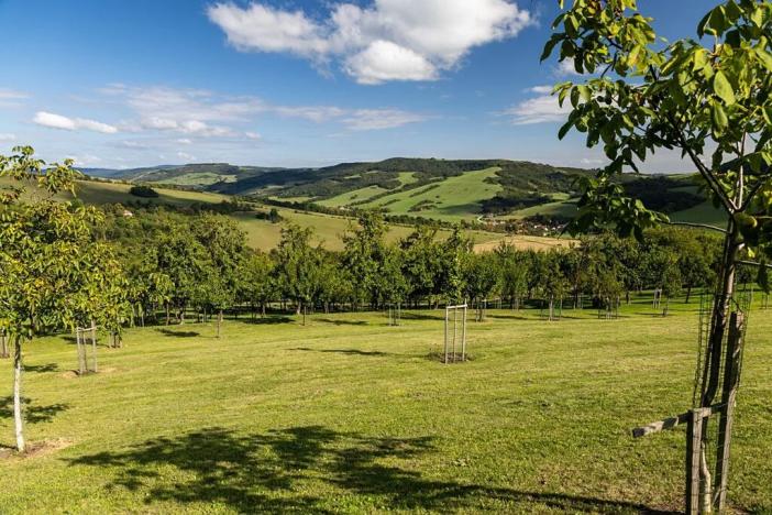 Prodej chalupy, Vrbovce, Slovensko, 1100 m2