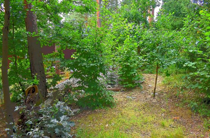 Pronájem chaty, Kamýk nad Vltavou, 50 m2