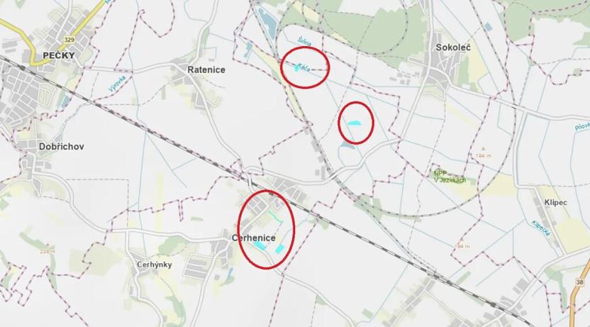 Prodej podílu louky, Cerhenice, 10056 m2