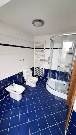 Pronájem bytu 4+kk, Plzeň, Přemyslova, 180 m2