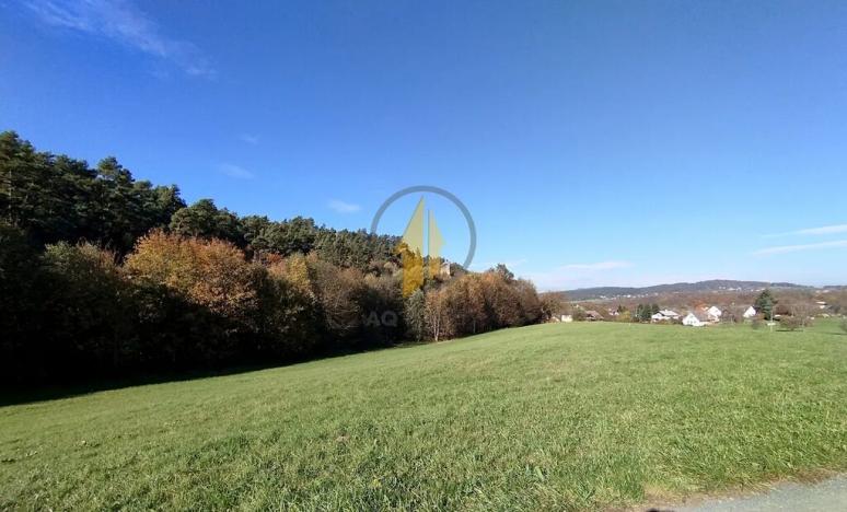 Pronájem rodinného domu, Klokočí, 248 m2