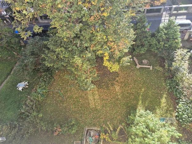 Prodej bytu 3+kk, Praha - Nusle, U družstva Ideál, 60 m2