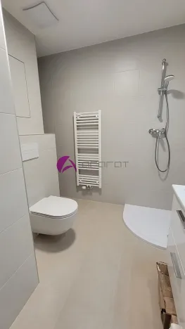 Pronájem bytu 1+kk, Olomouc, Šantova, 34 m2