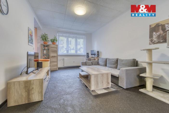 Prodej bytu 1+1, Habartov, Raisova, 50 m2