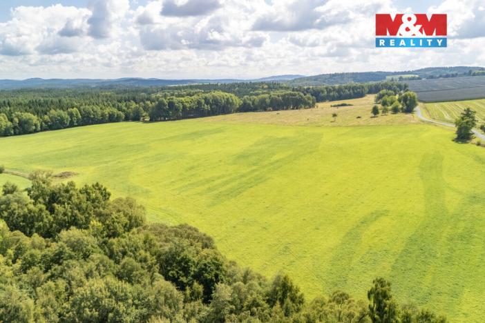 Prodej komerčního pozemku, Přimda - Mlýnec, 238031 m2