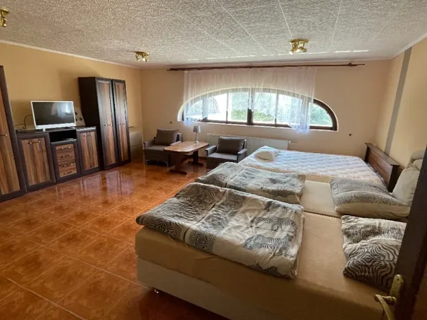 Pronájem vícegeneračního domu, Kynšperk nad Ohří, 600 m2