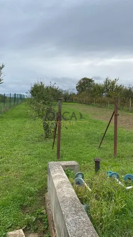 Pronájem rodinného domu, Moravany, 120 m2