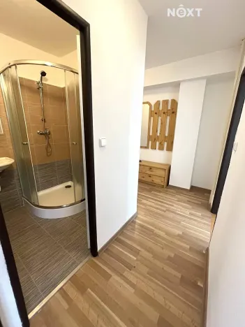 Pronájem bytu 2+1, Ostrava, Bohumínská, 55 m2