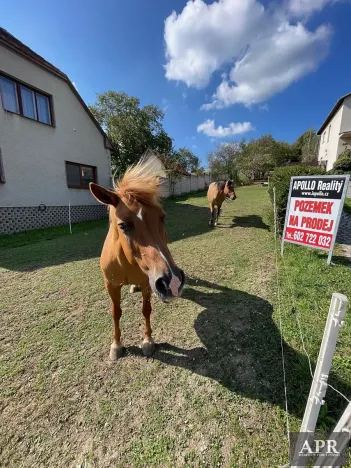 Prodej pozemku pro bydlení, Pašovice, 1279 m2