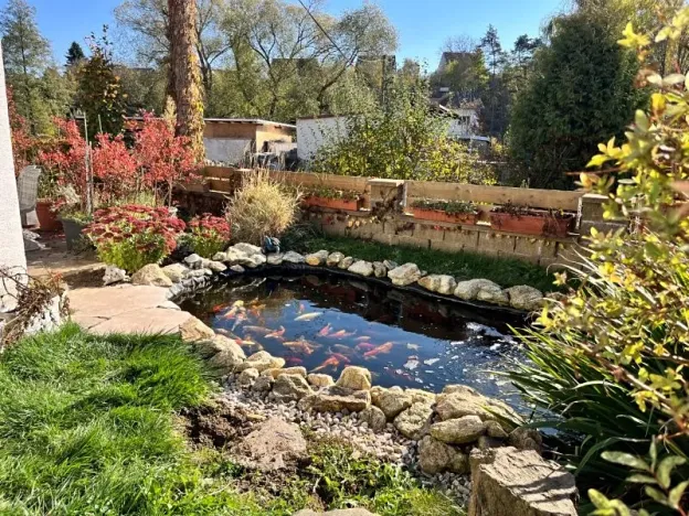 Pronájem rodinného domu, Dobronín, 250 m2