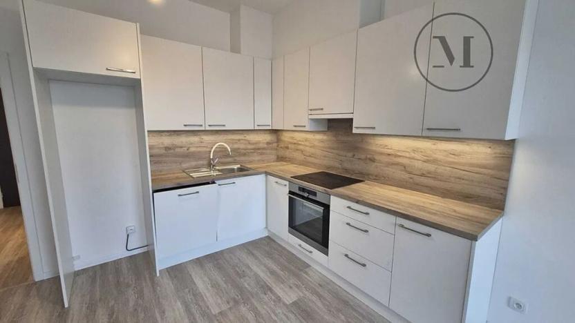 Pronájem bytu 1+kk, České Budějovice, Branišovská, 32 m2