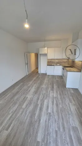Pronájem bytu 1+kk, České Budějovice, Branišovská, 32 m2