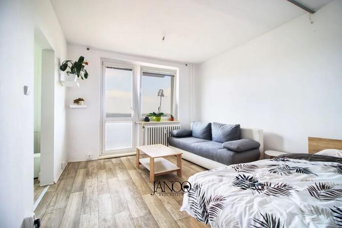 Pronájem bytu 1+1, Brno, Kubíčkova, 30 m2