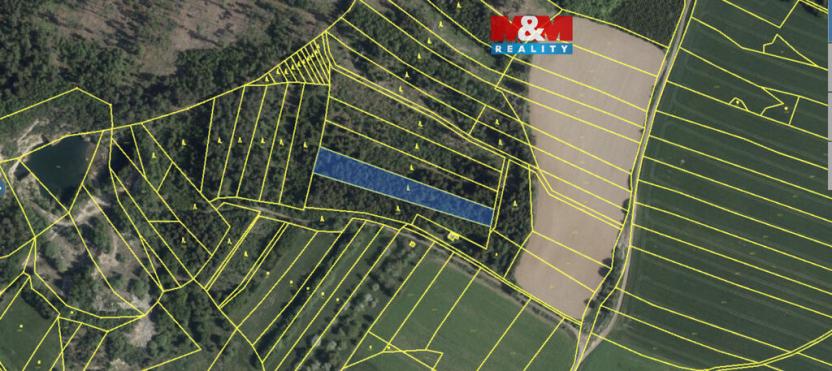 Prodej lesa, Mysletice, 7177 m2