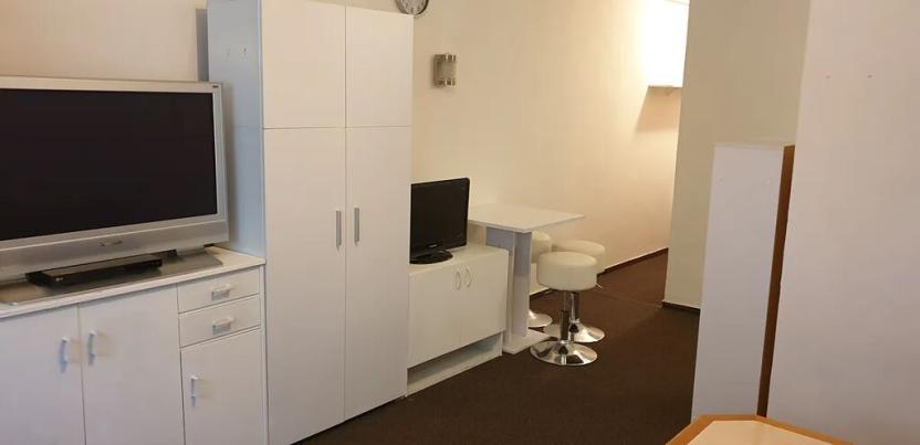 Pronájem bytu 1+kk, Teplice, Petra Jilemnického, 30 m2