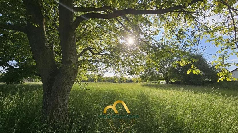 Prodej komerční nemovitosti, Doubravička, 195 m2