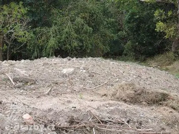 Dražba pozemku, Žatec, 264996 m2