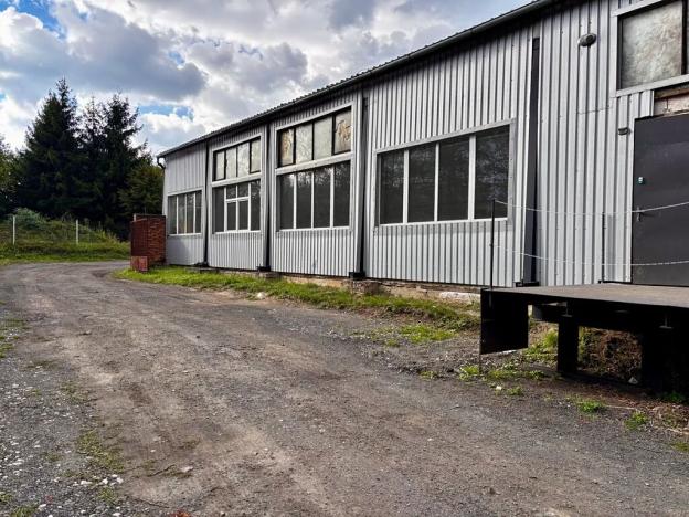 Pronájem výrobních prostor, Klatovy, Franty Šumavského, 496 m2