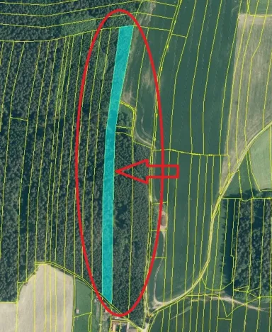 Prodej lesa, Ločenice, 16414 m2