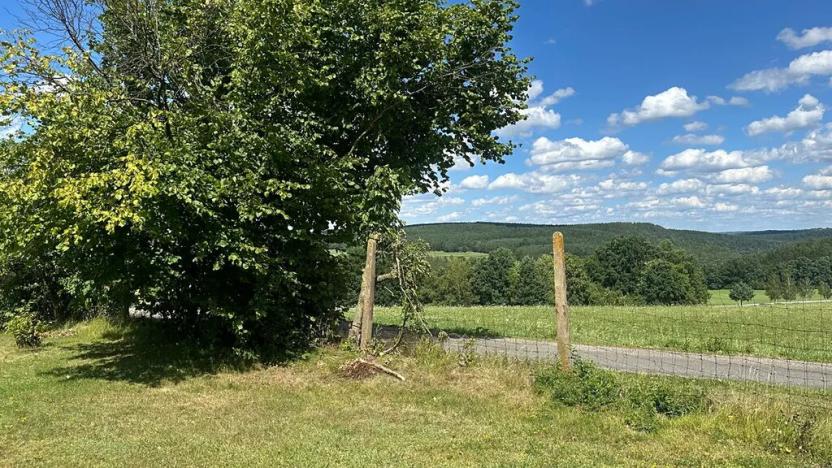 Prodej pozemku pro bydlení, Albrechtice nad Vltavou, 800 m2