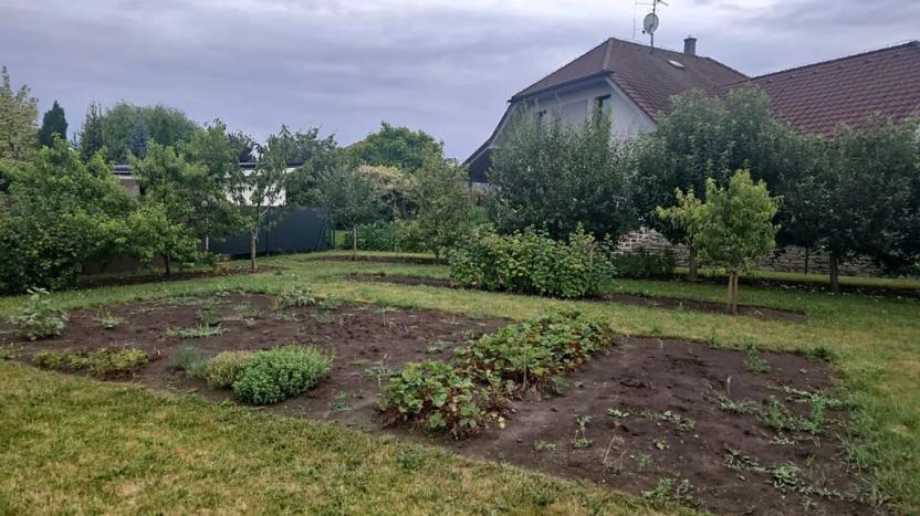 Pronájem rodinného domu, Olšany u Prostějova, 55 m2