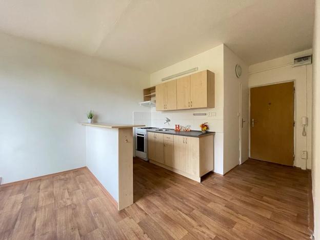 Pronájem bytu 1+1, Litvínov, Tylova, 38 m2
