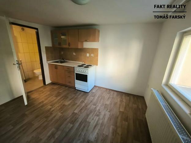 Pronájem bytu 1+kk, Děčín, Teplická, 19 m2