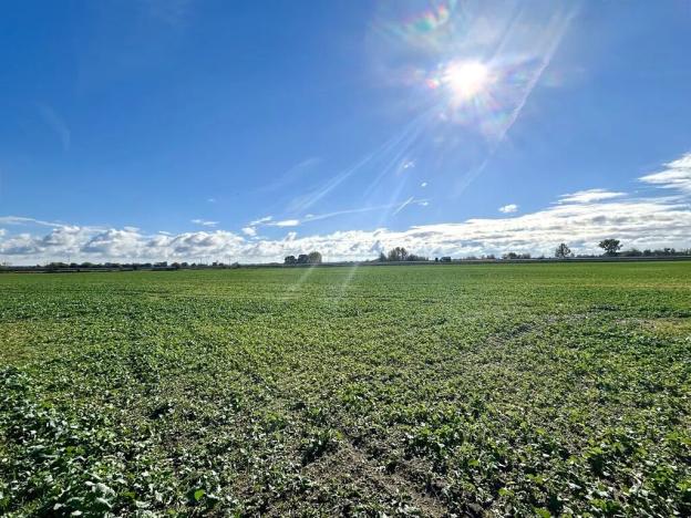 Prodej pozemku pro bydlení, Dašice, 14166 m2