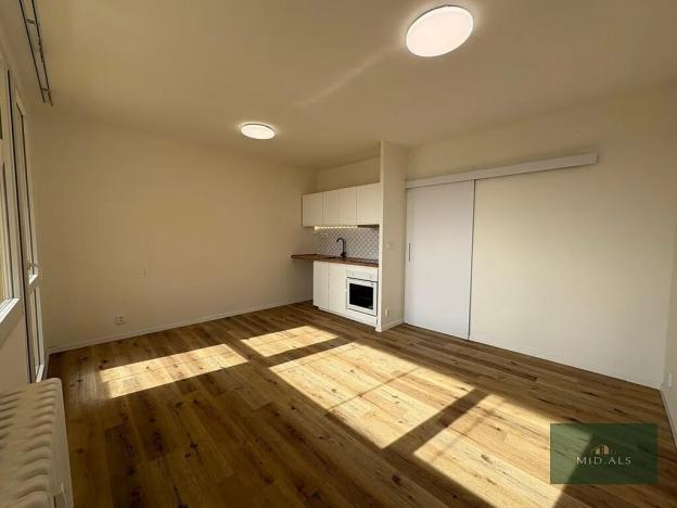 Prodej bytu 1+kk, Plzeň, alej Svobody, 36 m2