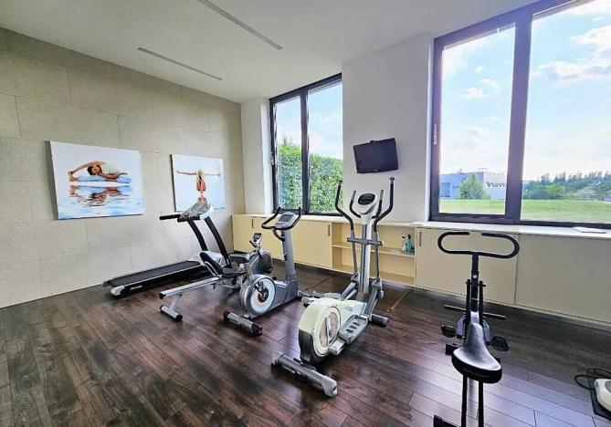 Pronájem bytu 1+kk, Praha - Nusle, K sídlišti, 45 m2