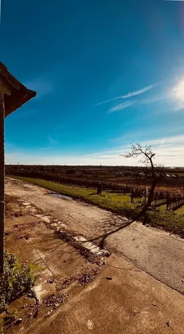 Prodej vinného sklepa, Velké Bílovice, 100 m2