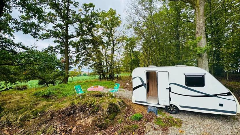 Prodej lesa, Postupice, 1363 m2