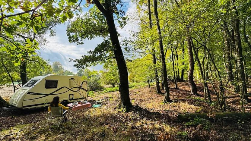 Prodej lesa, Postupice, 1363 m2