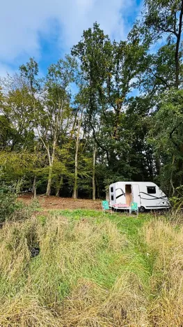 Prodej lesa, Postupice, 893 m2