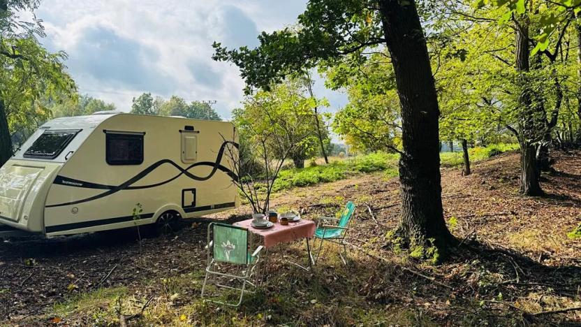 Prodej lesa, Postupice, 893 m2