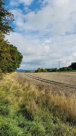 Prodej lesa, Postupice, 893 m2